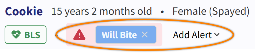 PET_Banner-Alerts_MRK.png