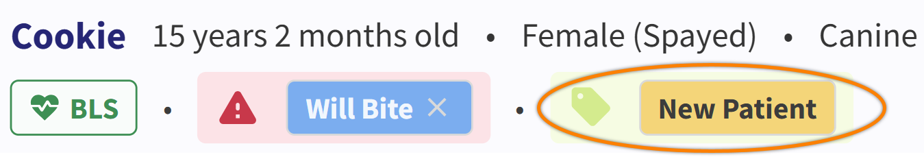 PET_Banner-PatientTag_MRK.png