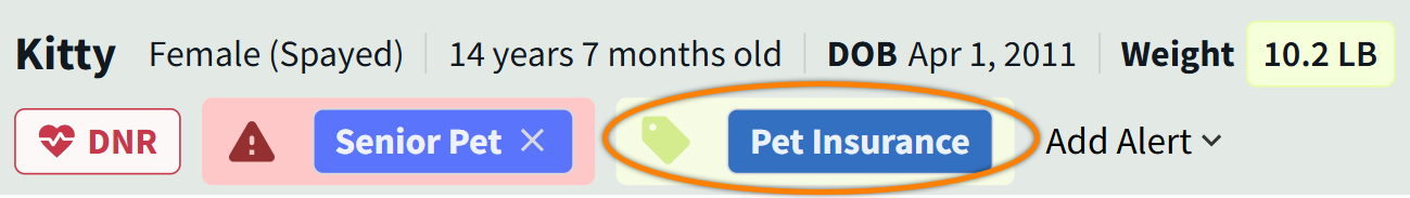 PET_Banner-Tags.png