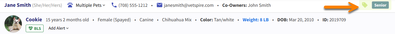 PET_Banner-ClientTag-Example.png