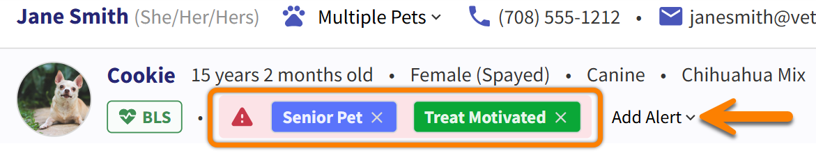 PET_Banner_Alerts-Example_MRK.png