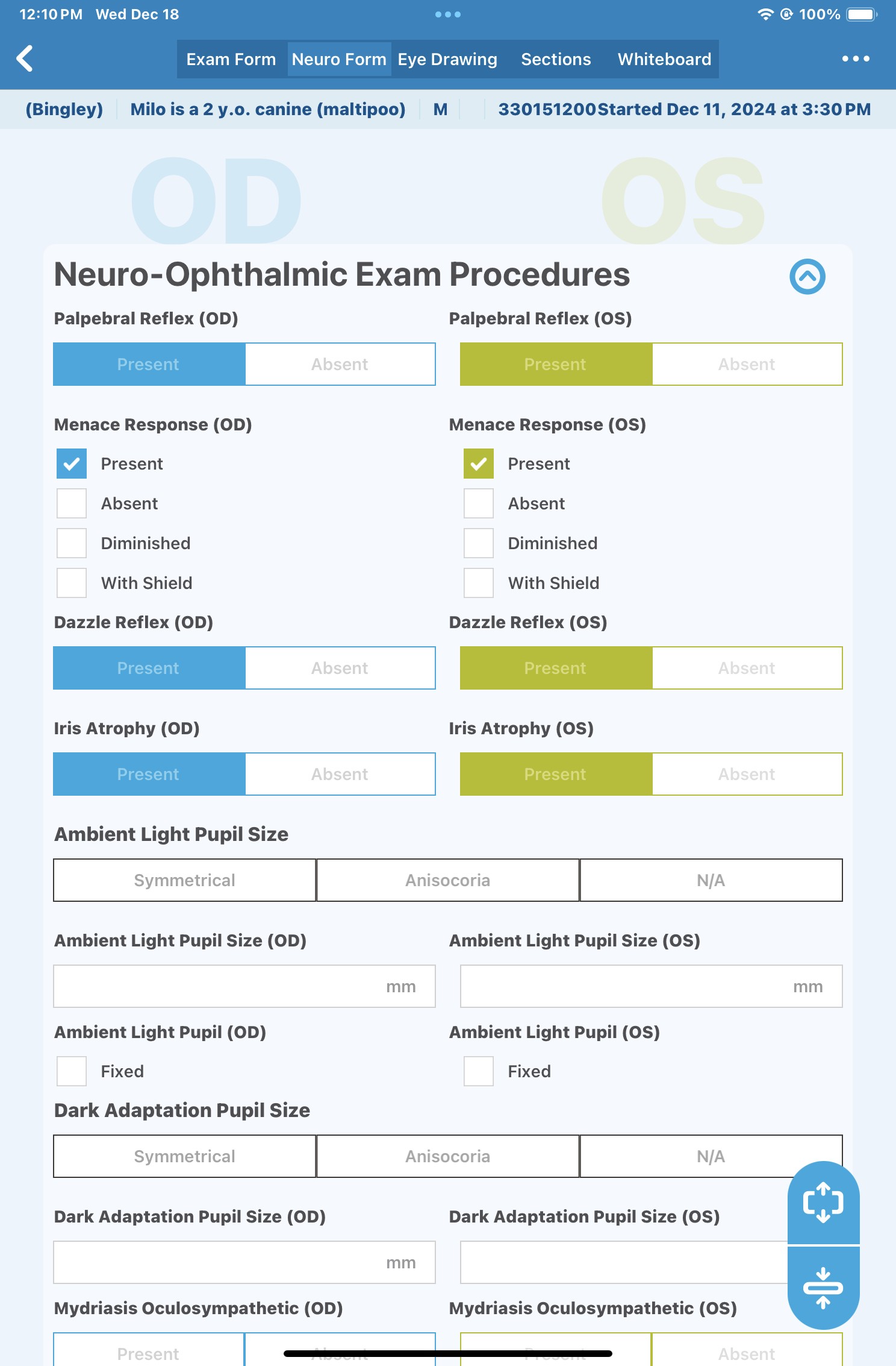 WINK_NeuroForm_Example.jpeg