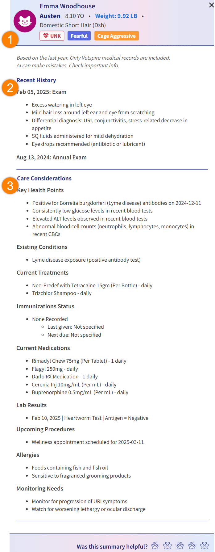 AI_Summary-Example_Annotated.png