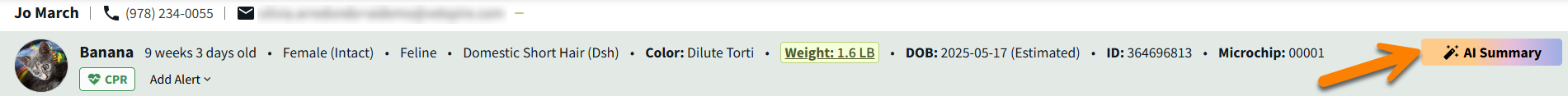 PET_Banner_AISummary_MRK.png