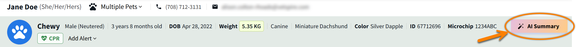 access ai summary pet banner.png