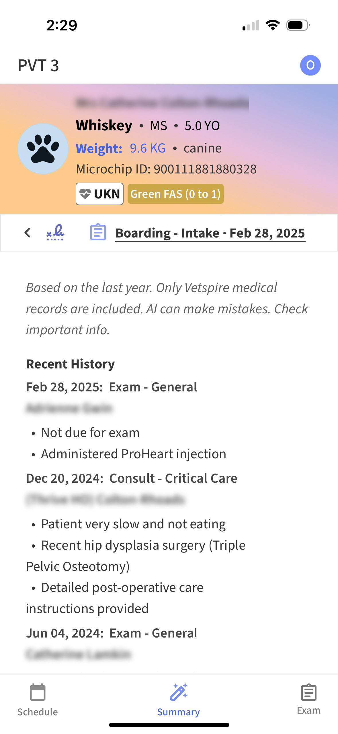 patient summary in scribe.jpg