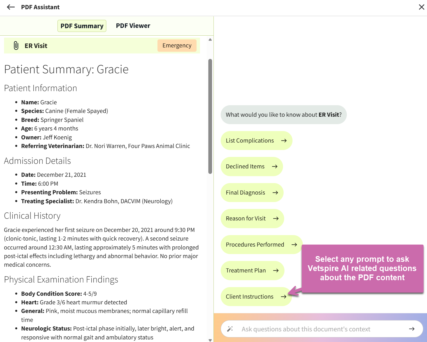 pdf assistant prompt.png