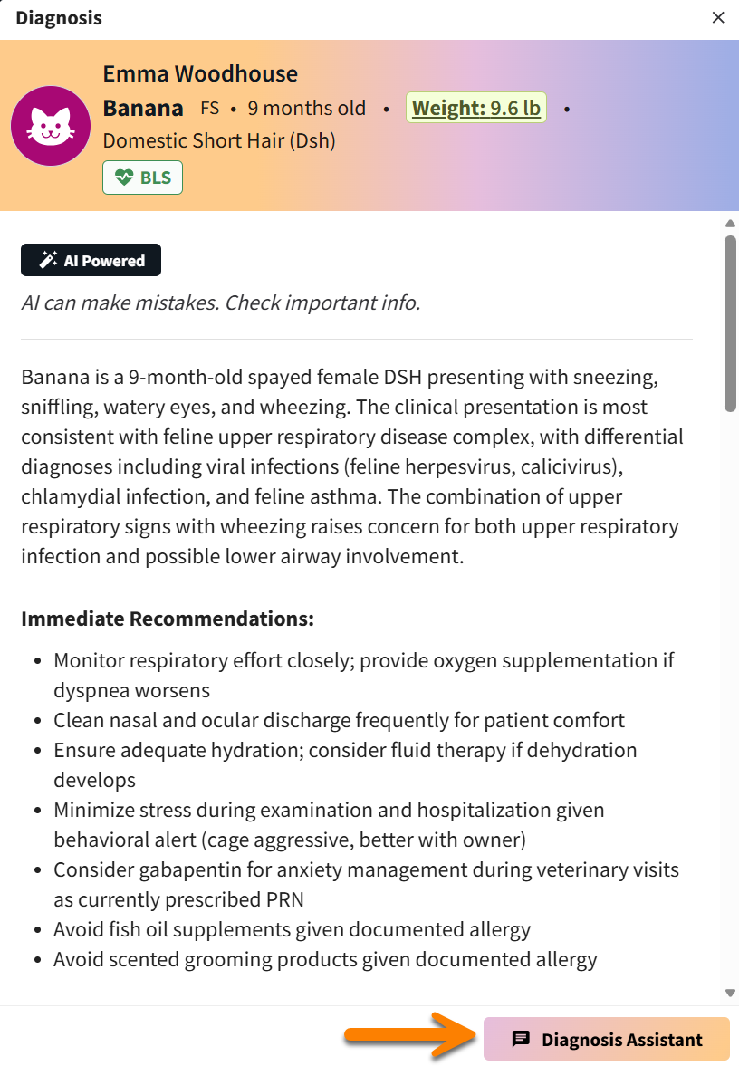 AI DDX access chat.png