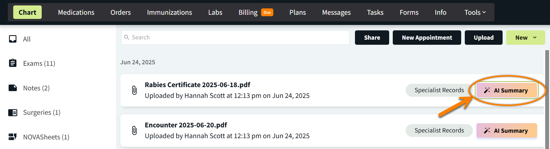 access ai pdf summary btn.png