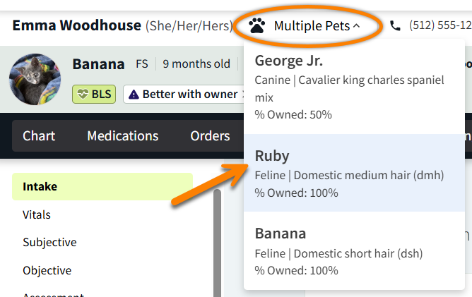 AI Scribe multi pet navgiate.png