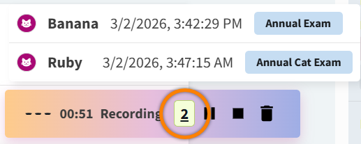AI Scribe multi pet rec number display.png