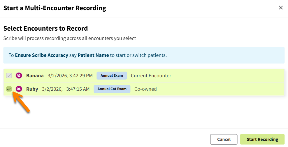 AI Scribe start multi pet rec.png