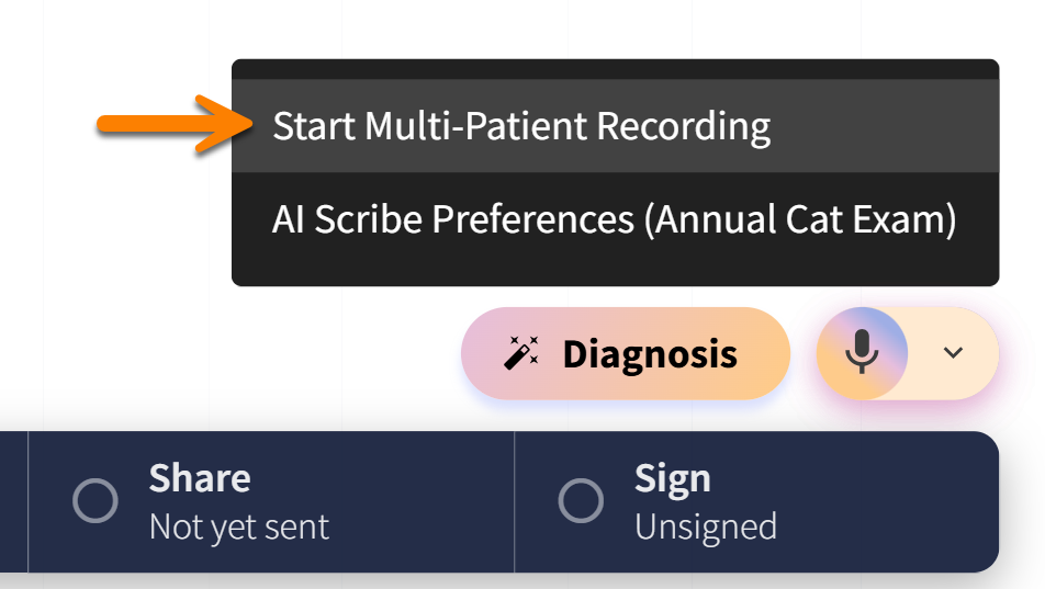 start multi patient Scribe recording.png