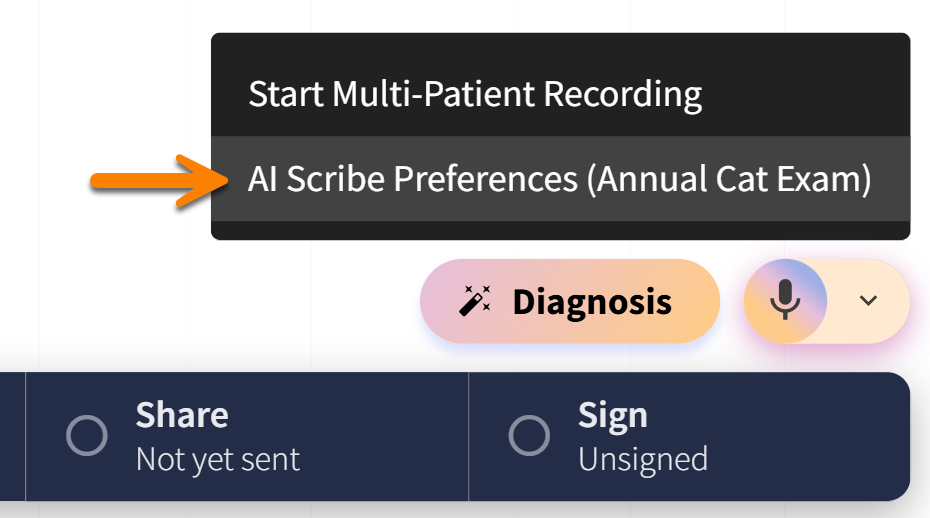access Scribe encounter preferences.png