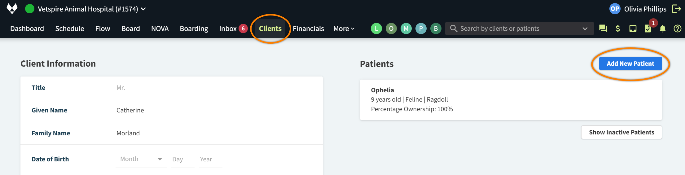 CLNT_AddNewPatient.png