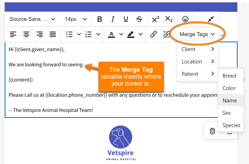 ADMIN_EmailTemp_MergeTag-Example.png