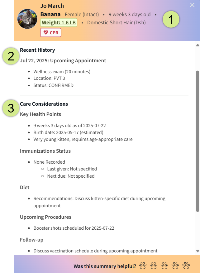 AI_Summary-Example_Annotated.png
