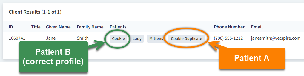 CLNT_Merge-Patients-Example_Annotation.png