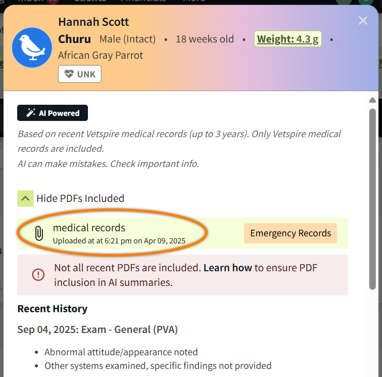 ai summary included pdfs.png