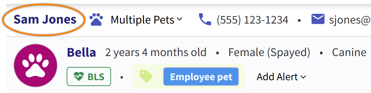 PET_Banner-ClientName_MRK.png