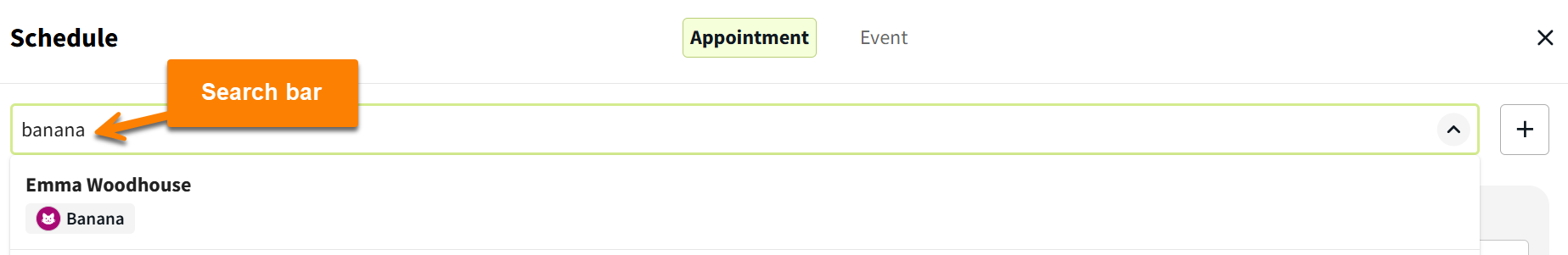 new appt modal search.png