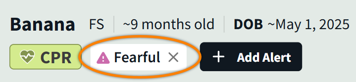 PET_Banner-Alerts_MRK.png