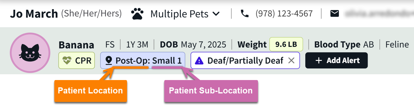 patient location in banner.png