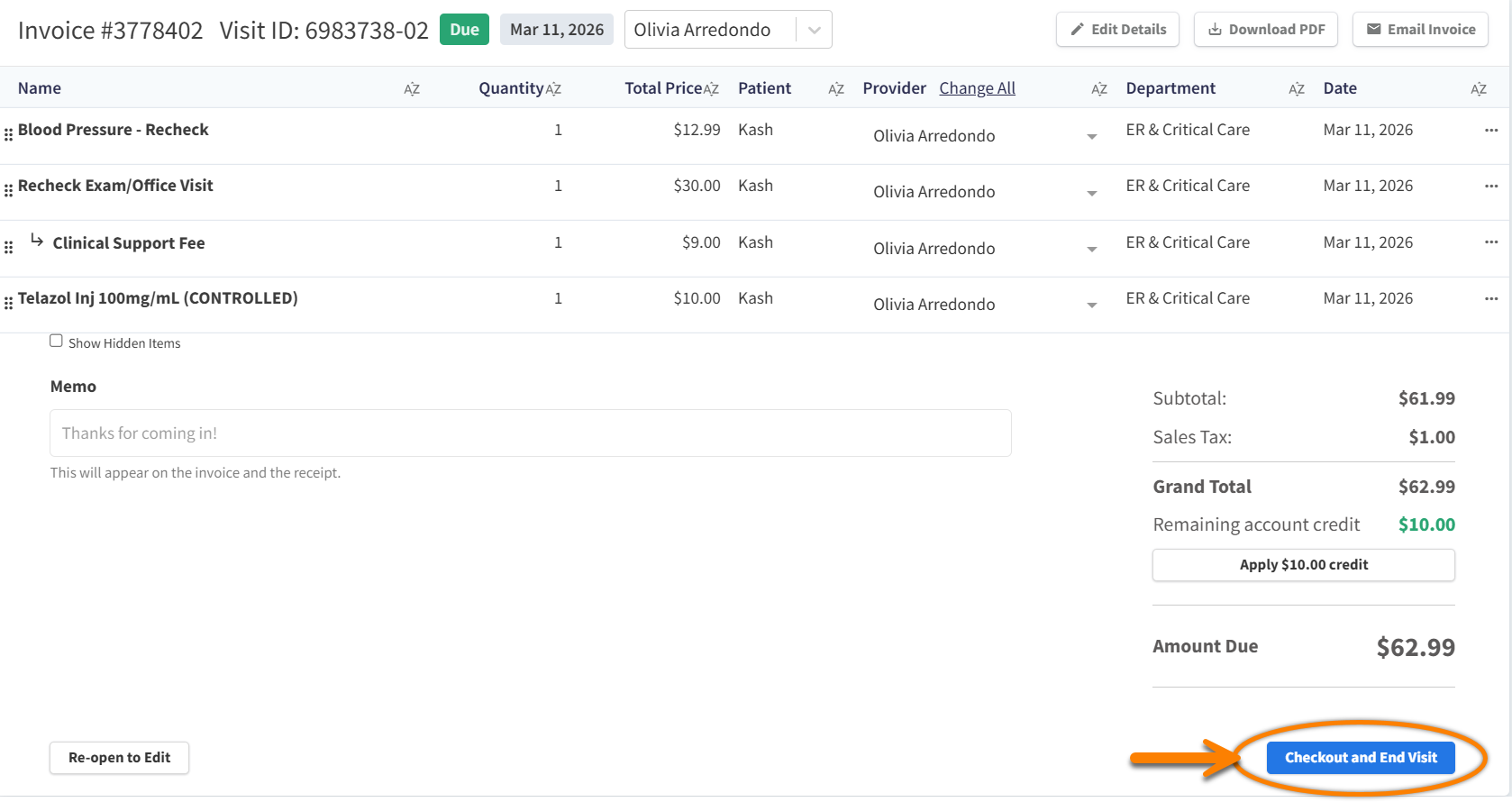 visit invoice checkout.png