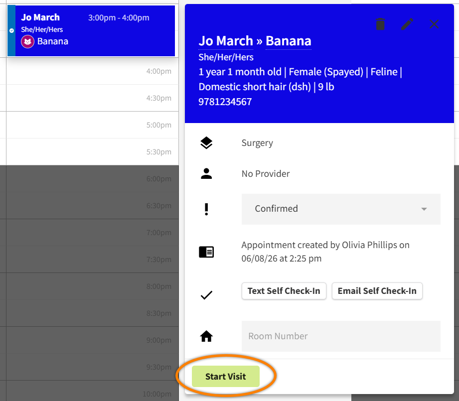 SCHED_Appt_StartVisitBTN_MRK.png
