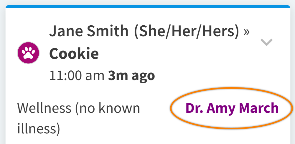 provider name.png
