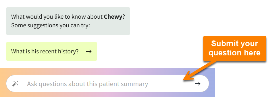 patient summary assistant chat enter question.png