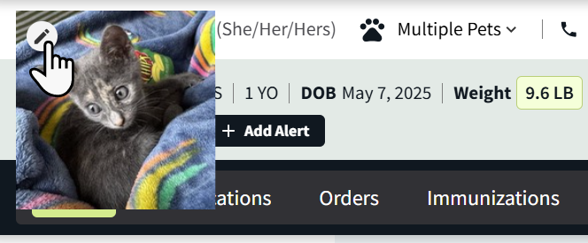 edit pet photo.png