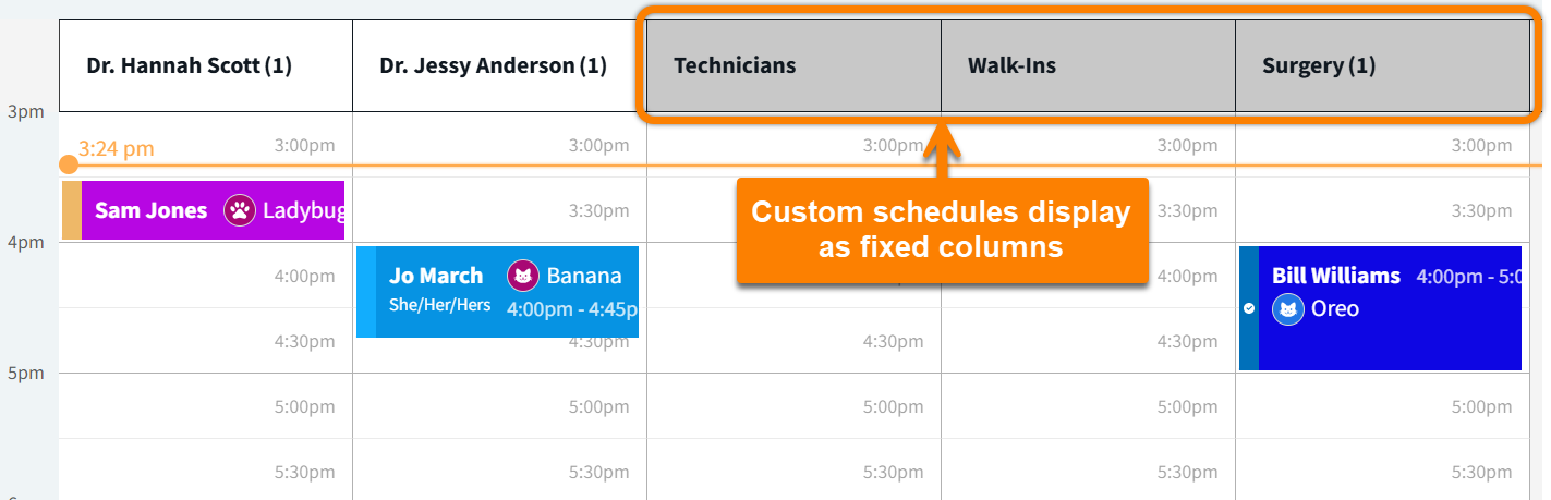 SCHED_CustomSchedules.png