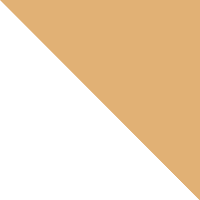 notes orange triangle (1).png